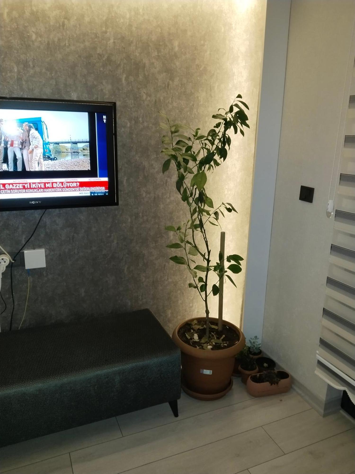 Ankara Esenboga Airport Luxury Rezidance Apart Bagian luar foto